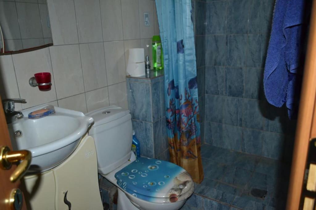 شقة Vasiliki'S Cosy House نيا ميشانيونا المظهر الخارجي الصورة