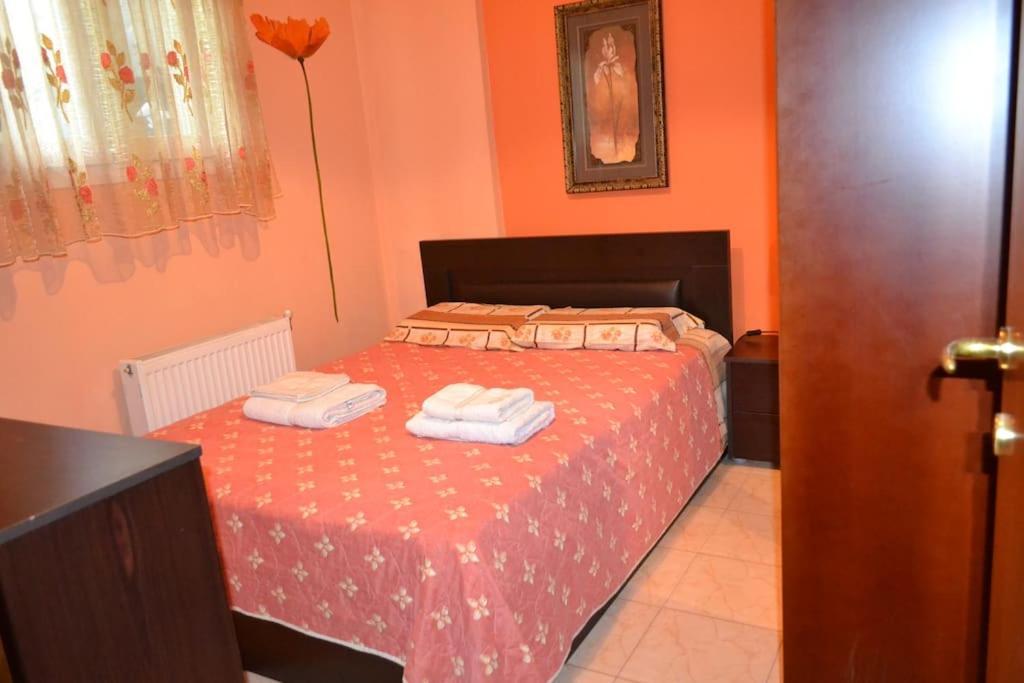 شقة Vasiliki'S Cosy House نيا ميشانيونا المظهر الخارجي الصورة