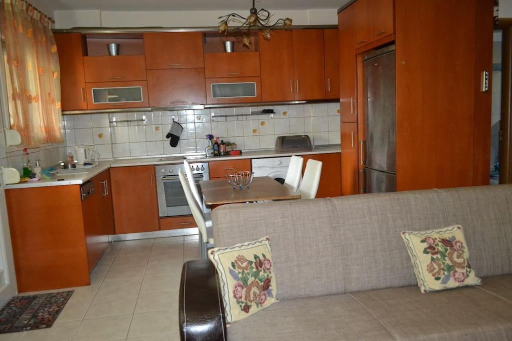 شقة Vasiliki'S Cosy House نيا ميشانيونا المظهر الخارجي الصورة