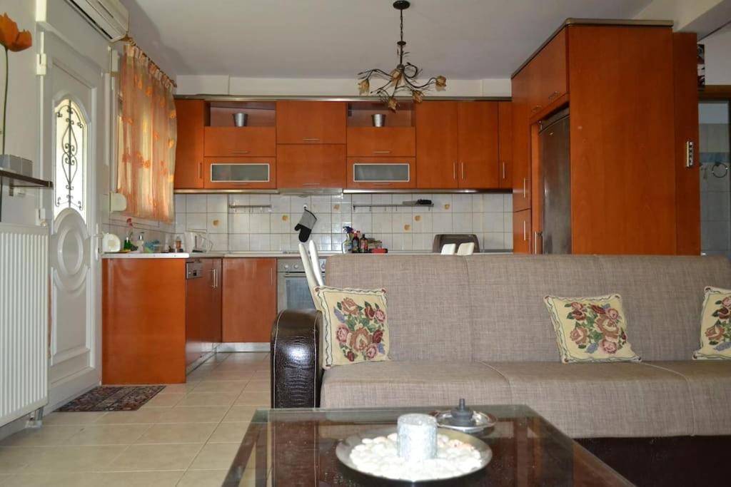 شقة Vasiliki'S Cosy House نيا ميشانيونا المظهر الخارجي الصورة