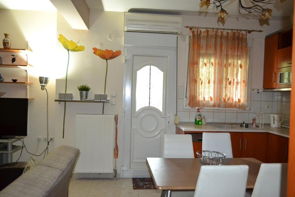 شقة Vasiliki'S Cosy House نيا ميشانيونا المظهر الخارجي الصورة