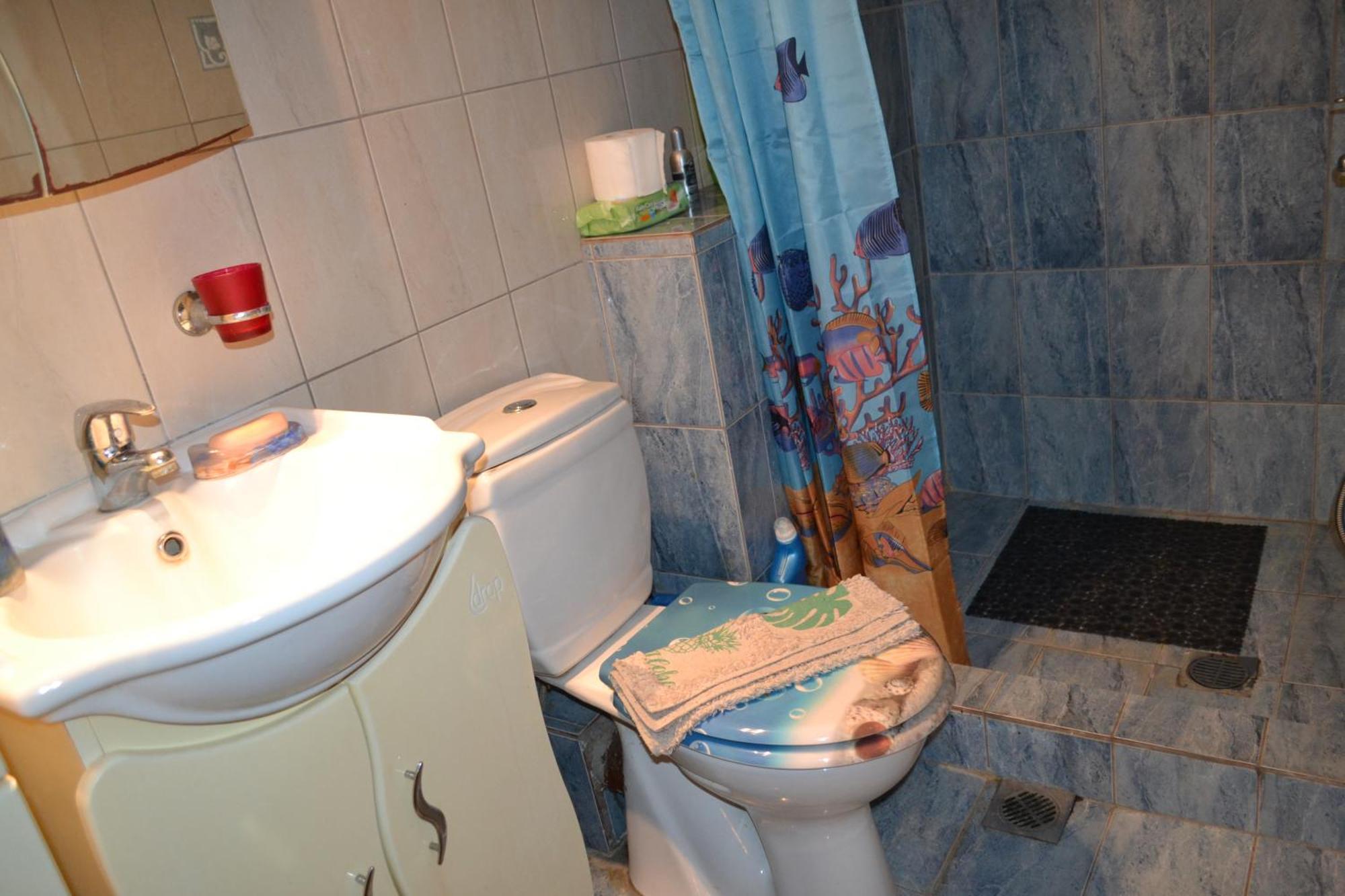 شقة Vasiliki'S Cosy House نيا ميشانيونا المظهر الخارجي الصورة