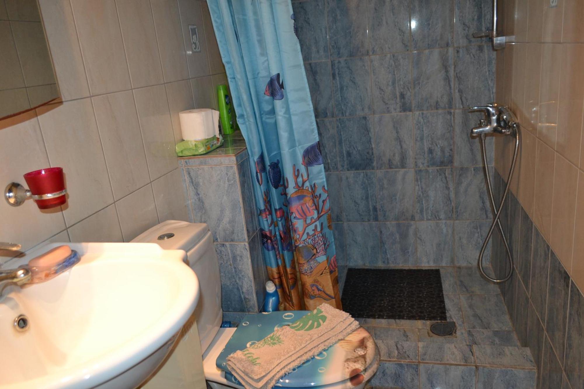 شقة Vasiliki'S Cosy House نيا ميشانيونا المظهر الخارجي الصورة